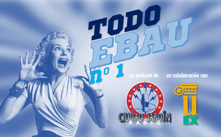 logo todoebau1